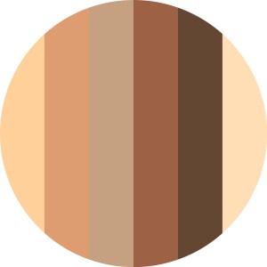 The Dark Cocoa Eyeshadow Palette 9g The Dark Cocoa Eyeshadow Palette 9g