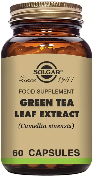 Té Verde Extracto de Hoja (Camellia sinensis)