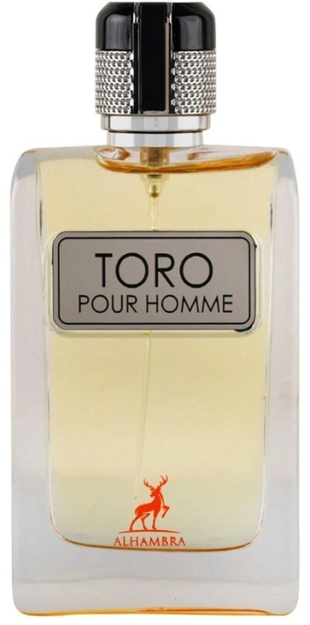 Toro pour Homme