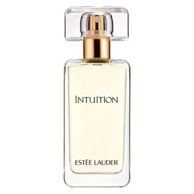 Intuition Intuition
