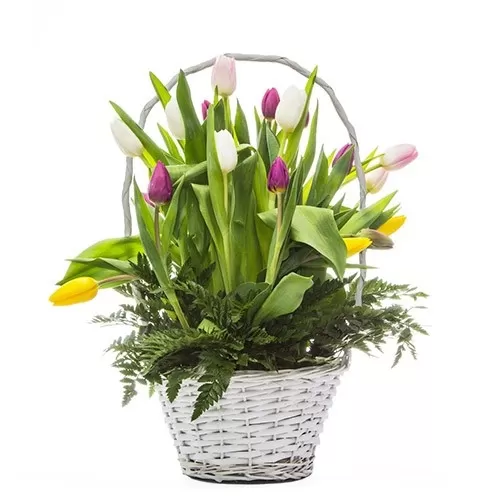 Cesta Tulipanes Cesta Tulipanes
