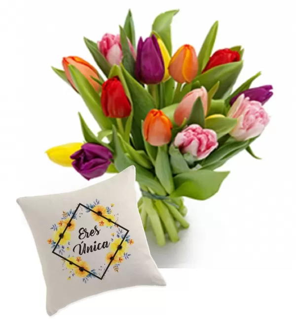Pack Tulipanes Única Pack Tulipanes Única