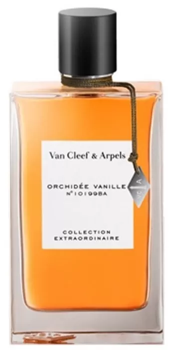 Orchidee Vanille Orchidee Vanille