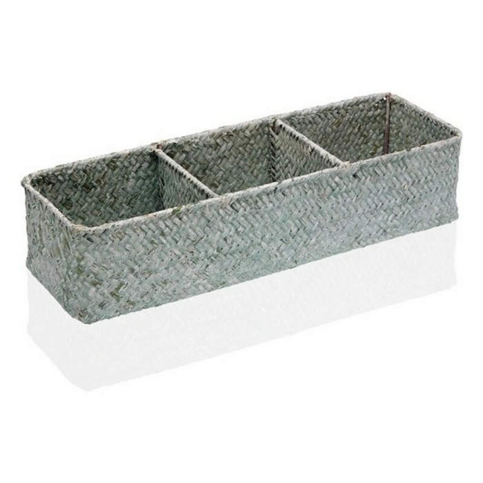 Caja con compartimentos Versa Algas marinas (12 x 8 x 36 cm)