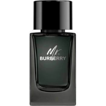 Mr. Burberry Mr. Burberry