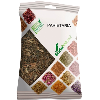 Parietaria
