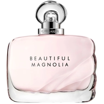 Beautiful Magnolia Beautiful Magnolia