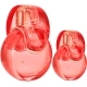 Omnia Coral edt 100ml + edt 15ml Omnia Coral edt 100ml + edt 15ml