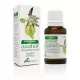 Aceite Esencial de Azahar 15ml