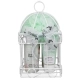 Beauty Flowers Cage Beauty Flowers Cage