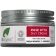 Crema de Día Extracto Orgánico de Rosa 50ml Crema de Día Extracto Orgánico de Rosa 50ml